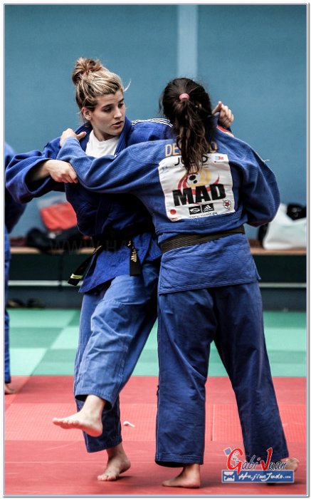 STAGE JUDO MADRID 14 00029